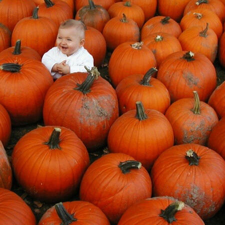 Emze, as a baby, smiling while sitting in a pumpkin patch. There are so many pumpkins that they fill the photo completely, and baby Emze looks tiny in comparison.